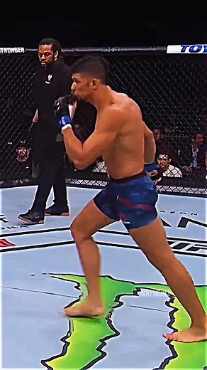 Johnny Walker UFC Flying Knee Knockout Highlights