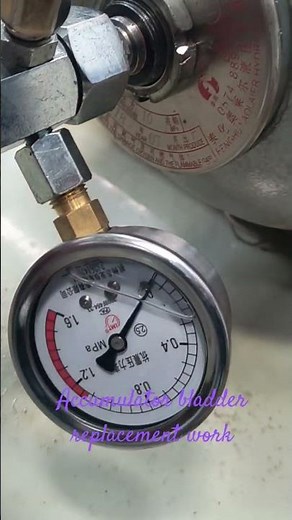 accumulator bladder replacement work