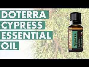 Cypress Essential Oil: Powerful Benefits And Uses
