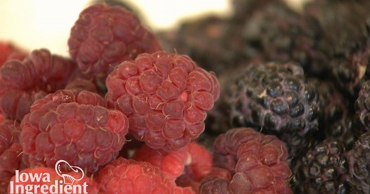 Iowa Ingredient:Raspberries | Iowa Ingredient Season 4 Episode 409