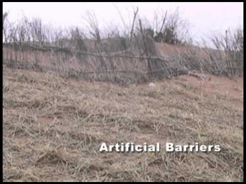 How to Control Wind Erosion