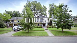 21K views · 98 reactions | Protect Fido and Fifi from fleas with this DIY flea spray. | Orkin | Facebook