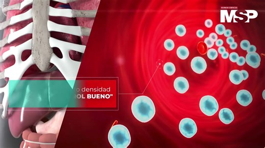 #MSPCardiología | El colesterol cumple funciones esenciales en el cuerpo, pero cuando sus niveles se elevan, especialmente el LDL, puede convertirse en un enemigo para el corazón y las arterias. El equilibrio entre colesterol “malo” y “bueno” es clave para mantener una circulación saludable y reducir el riesgo cardiovascular. #MSP: El lugar donde médicos, pacientes y profesionales de la salud pueden entrar. #SomosCiencia #MSPLíderesPioneros #MSPLegadoQueInspira | Revista Medicina y Salud Pública