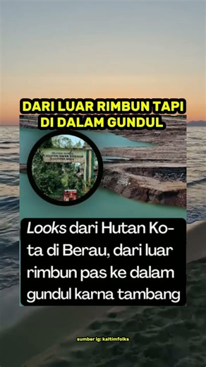 tebak apa coba #shorts #story