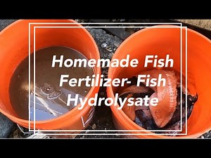 Fish Hydrolysate - Fermented Fish Fertilizer