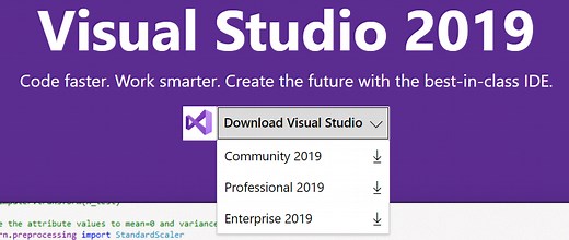Setup an Assembly Project on Visual Studio 2019 & 2022