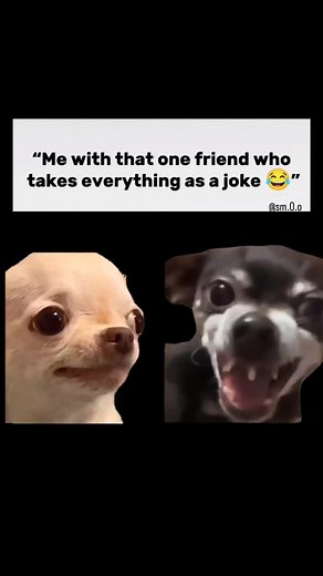 Evil Dog Memes: Get Ready for a Savage Laugh!