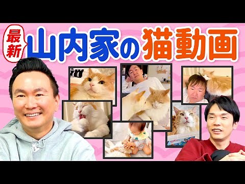 [Latest] A video of the Kamaitachi Yamauchi family's cat has been released!
