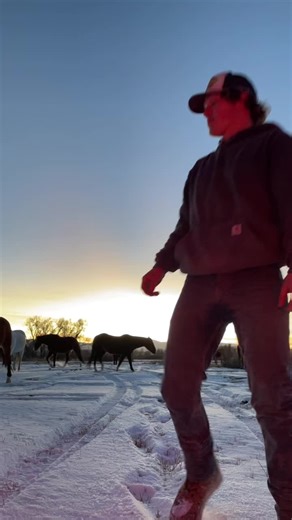 Crispy night, fuzzy ponies ❄️ @Sierra Ferrell #western #colorado #ranchin #horses #country #punchy #cowpoke #cowboy #longlivethewest #ranching #vaquero #buckaroo #wyoming #montana #colterwall #zachbryan #tylerchilders #sierraferrel