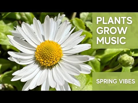 Music for Plants Happiness; Relaxing Music for Plants Healing, Growing and Happiness