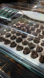 Do you need a humidity dome when starting seeds indoors? In most all cases, yes. Humidity domes help hold in moisture and warmth during germination which will greatly improve your success rate! The key is airflow - especially for seeds that can be prone to fungal issues. That’s why adjustable vents (like on the Park Seed Bio Dome) make such a difference. Have any of you noticed a huge difference when using a humidity dome as well? #gardentip #gardeningtip #beginnergardener #indoorseedstarting #s