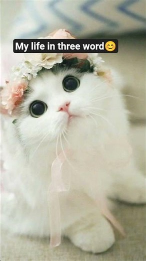 Kon se rahu ketu lage ha