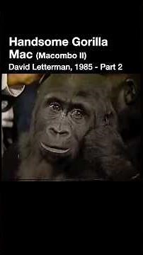 Handsome Gorilla Mac | Jack Hanna Snags Mac’s 🥕