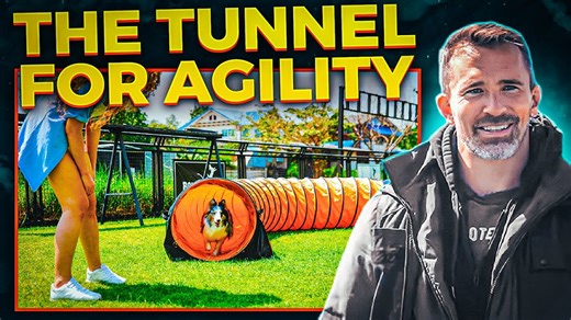 Build Speed, Focus, and Confidence With the Agility Tunnel