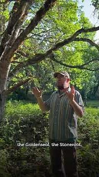 Pharm Stories: Field to Forest in 10 Years