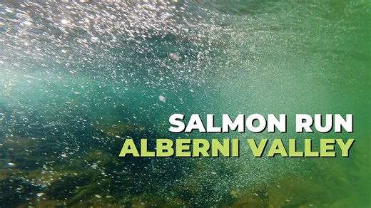 120 reactions · 31 shares | Port Alberni should be on your fall...