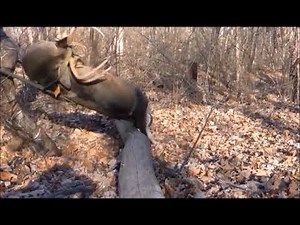 The Rack Packer in Action