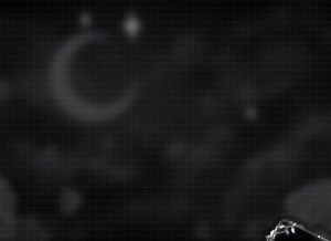 Full Package Black Celestial Moon Rose Twitch Overlay/ Dark Red Gothic Rose Loading Screen/ Blood Night Vampire Bat Animated Stream Overlay - Etsy