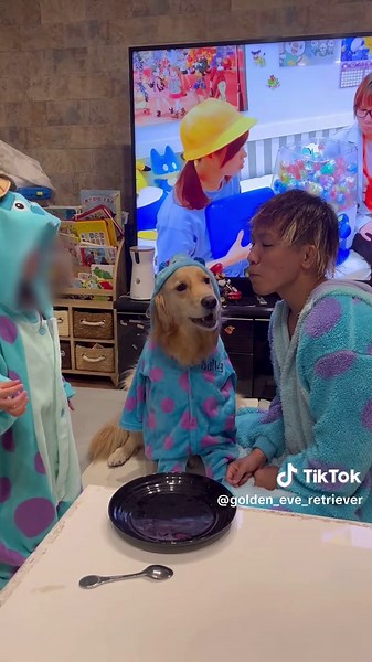 ハッピーハロウィン🎃#ハロウィン #goldenretriever #ゴールデンレトリバー #halloween