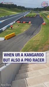 Only in Australia🦘😆 | Bright Side Fun