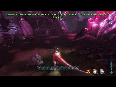 Rock Drake Extraction