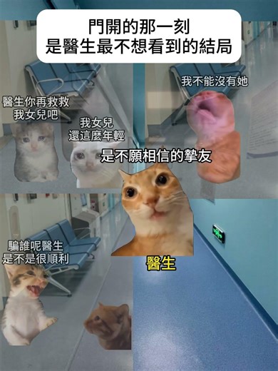 【😺CatDramaCorner】門開的那一刻是醫生最不想看到的結局 #cat #貓meme小劇場 #00後 #shorts #shortvideo #funny cat videos