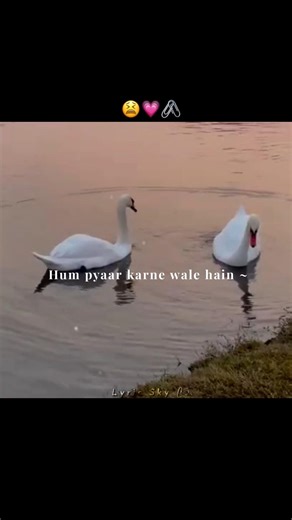 Yeh Pehle Batate Barat Lete Aate💗🥳 | Aesthetic lyrics status | #shots #lyricssong #explore #vibe