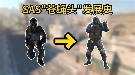 CS经典角色SAS"苍蝇头"经历了多少变化？