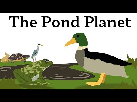 The Pond Planet - A Spec Evolution Project