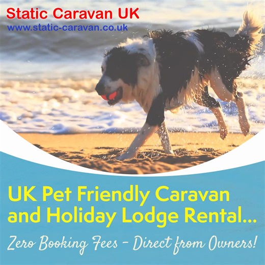 35K views · 63 reactions | PET FRIENDLY CARAVAN HOLIDAYS staticvan.uk/pet-friendly-caravan-holidays ✏️ Book Direct with Owners ❌ Zero Booking Fees | Static Caravan UK | Facebook