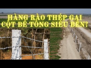 Chi phí xây dựng hàng rào thép gai B40 hết rẻ nhất, cách làm hàng rào dây thép gai đơn giản.