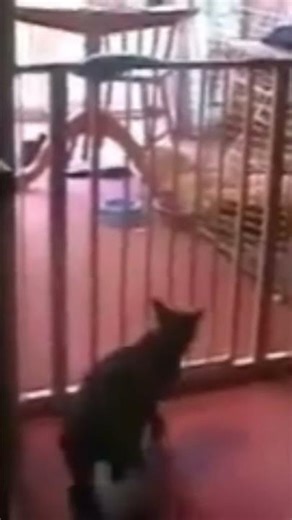 super mario sunshine meme #mariosunshine #funny #relatable #trend