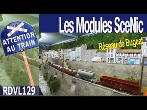 Les modules sceNic