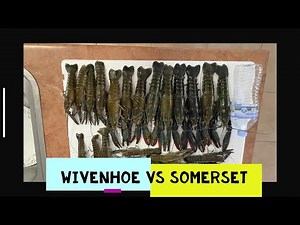 RED CLAW SOMERSET DAM VERSE WIVENHOE DAM CATCHING RED CLAW IN QUEENSLAND YABBIES FISHING AUSTRALIA