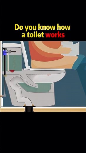 Do you know how a toilet works?#knowledge #science