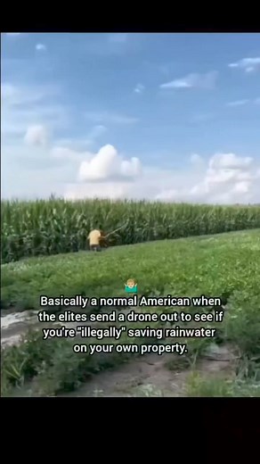 193K views · 3K reactions | #drones #farming | Quest News and Entertainment | Facebook