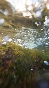 8K views · 168 reactions | Sunset in the Austrian forest ☺️ #austria #river #underwater #calm #nature #pov #flow #fluss #natur | Sebastian Schieren | Facebook