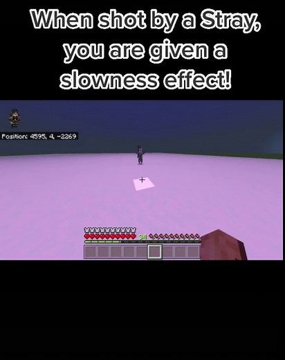 Minecraft Stray Review: Unique Snowy Biome Mob