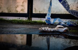 Our Shows - Woodcut Media