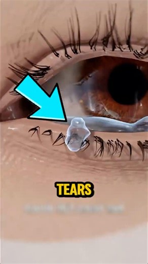 Why Do Tears Suddenly Appear When You Cry?