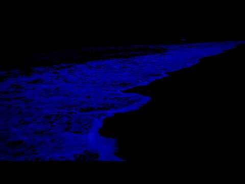 No Ads Stop Overthinking 💤 Relaxing Wave Sounds, Slow Down An Overactive Mind, Fall Asleep Fast