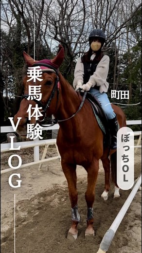 東京の乗馬体験｜乗馬クラブクレインの楽しみ方