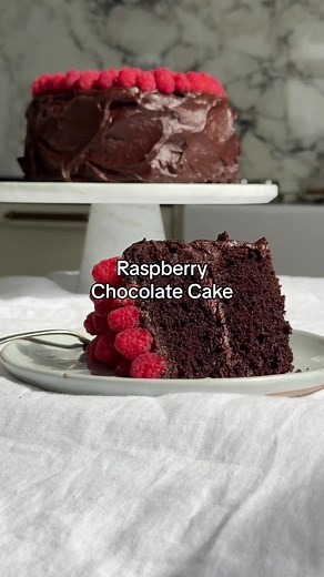 this raspberry chocolate layer cake is worthy of a bakery window, except it’s made in one bowl and with mostly pantry staples. as in, you can make it RIGHT NOW. where do i sign up!? link in bio! #caketok #chocolatecake #easydessert