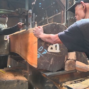16K views · 294 reactions | sawmill rare mahogany wood from log into planks | Sawmill & Woodworking | Facebook