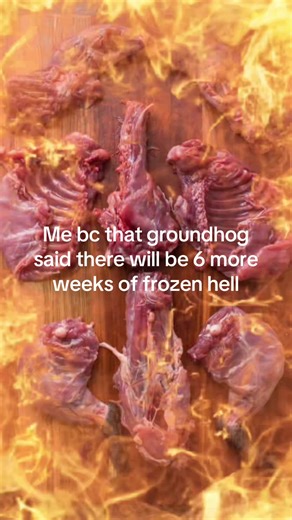 I LOVE SPRING!!! Bring it ON #fypシ゚ #viral_video #groundhogday #funny #satire