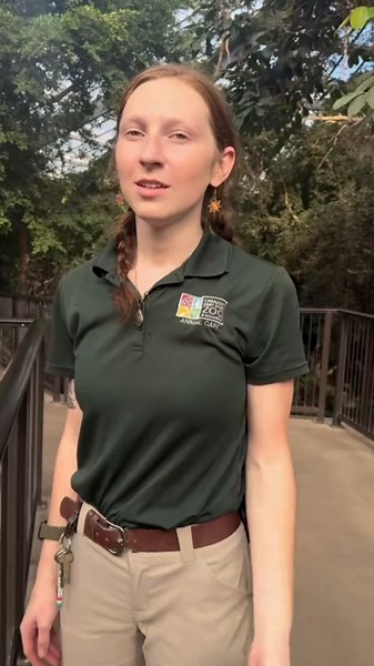 Freddy's Incredible Voice at Lied Jungle