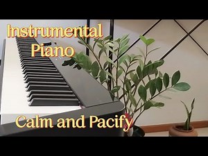 Calm and Peaceful Piano | Instrumental Music for Calm and Peace