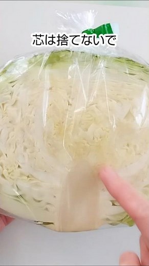 キャベツの芯を水に漬けると❇リボベジ 再生栽培 水耕栽培 野菜 室内栽培