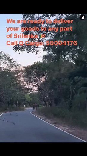 Q Cargo Qatar on Reels