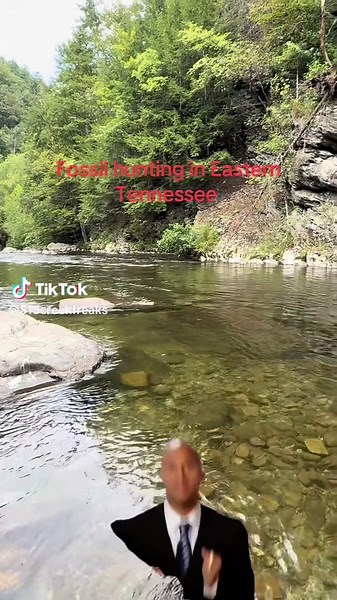 Fossil Hunting Adventures in Eastern Tennessee